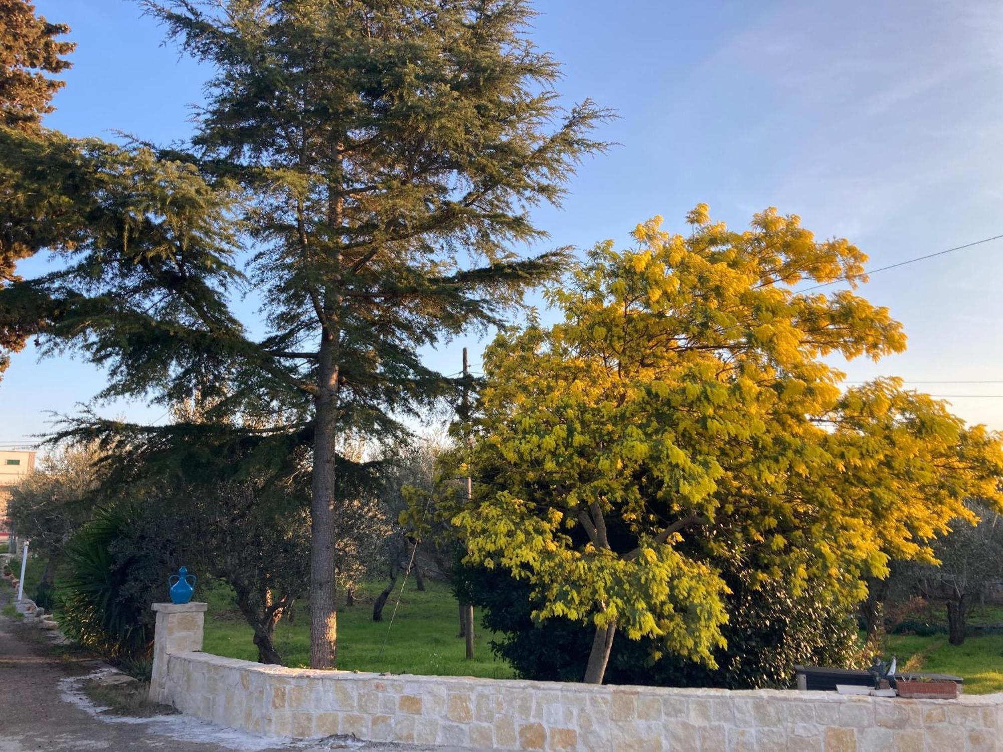 מונופולי Il Casale Di Brunella מראה חיצוני תמונה